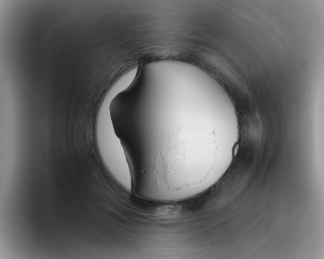 X0000095910700200802081053