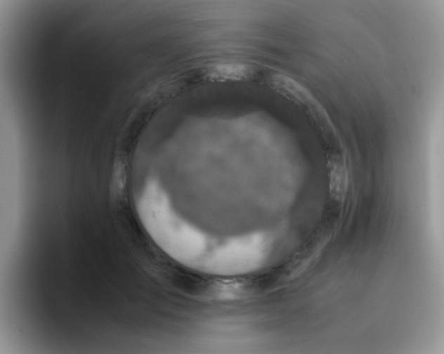 X0000095910701200802081053