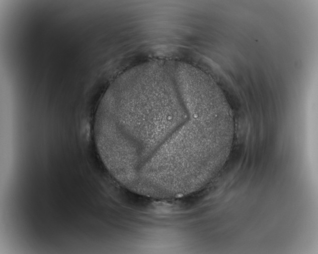 X0000095910703200802081053