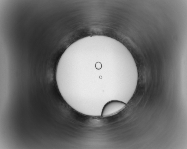 X0000095910706200802081053