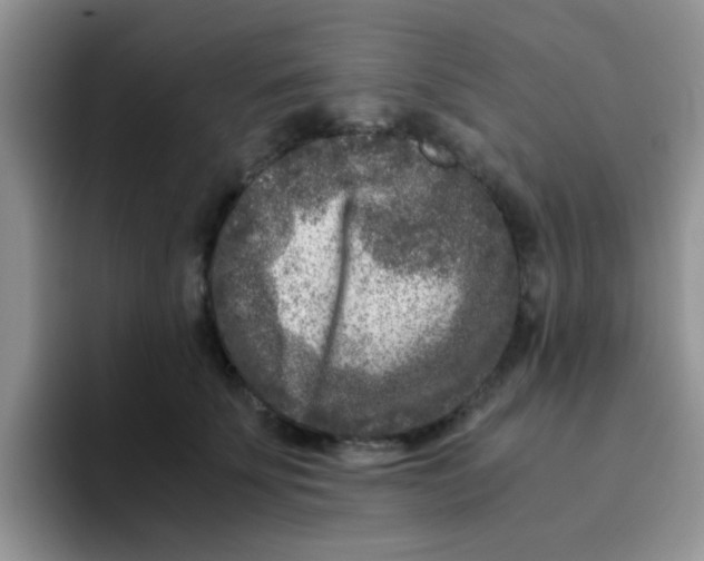 X0000095910707200802081053