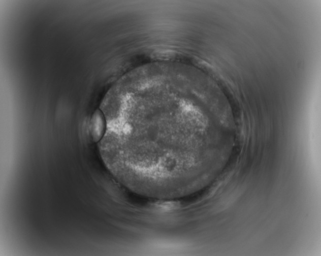 X0000095910711200802081053