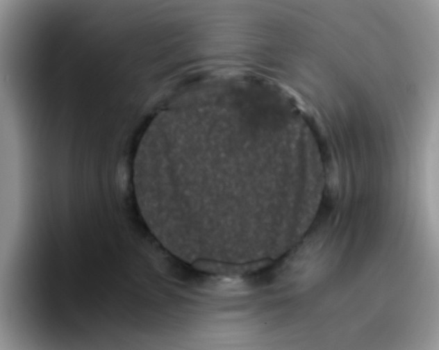 X0000095910715200802081053