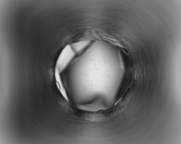 X0000095910716200802081053