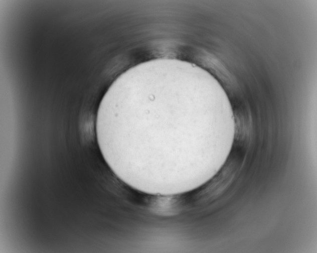 X0000095910717200802081053