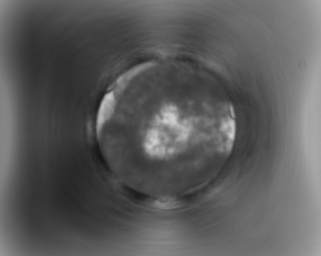 X0000095910720200802081053