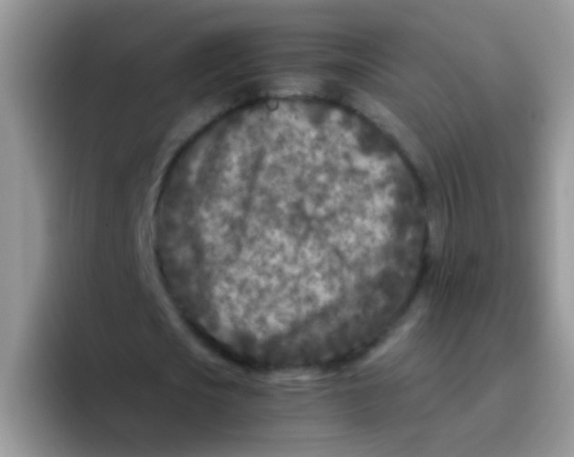 X0000095910721200802081052