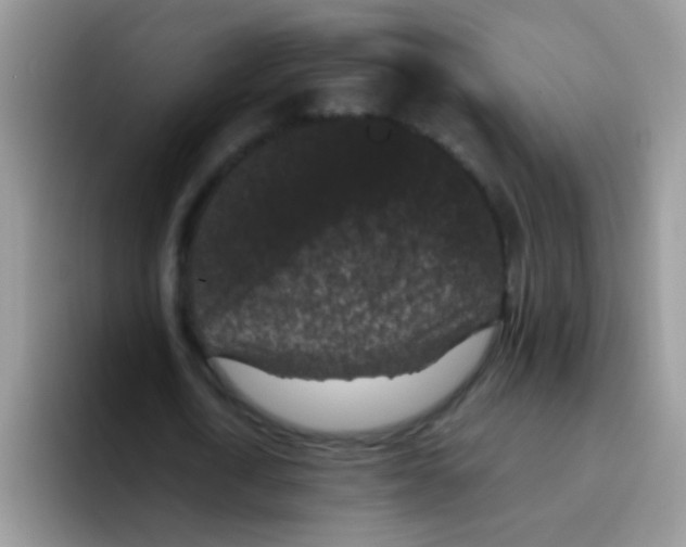 X0000095910722200802081052