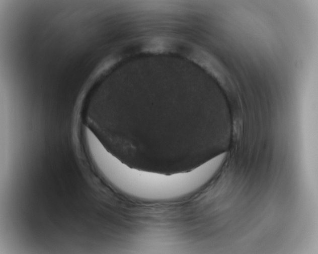 X0000095910724200802081052