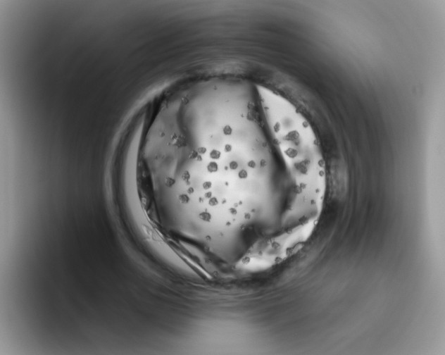 X0000095910726200802081052