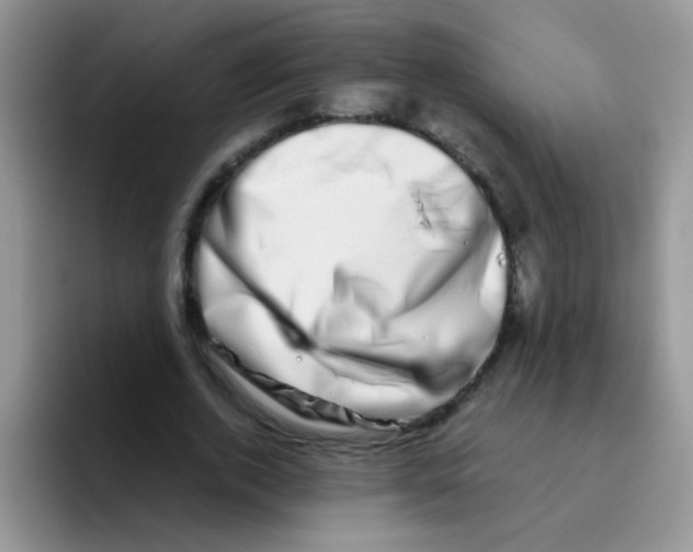 X0000095910728200802081052