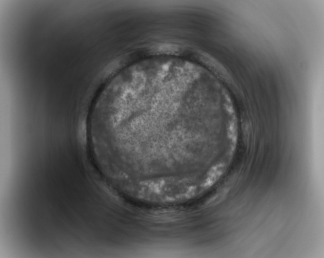 X0000095910729200802081052