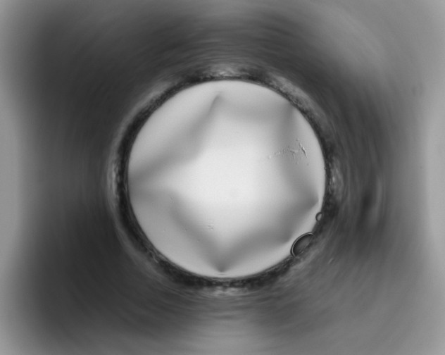 X0000095910730200802081052