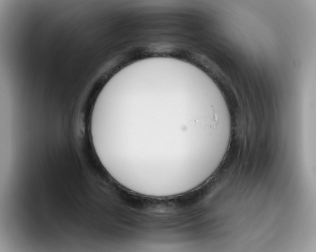 X0000095910731200802081052