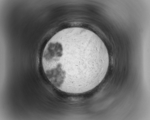 X0000095910733200802081052