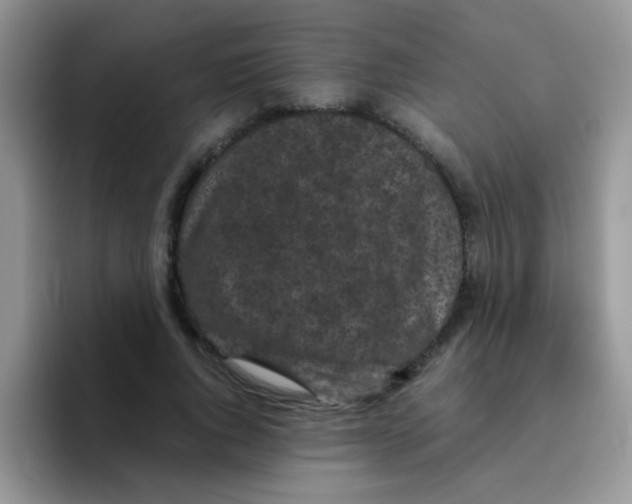 X0000095910736200802081052