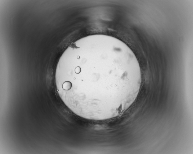X0000095910737200802081052