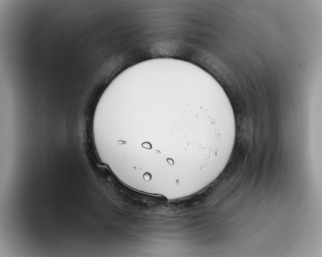 X0000095910738200802081052