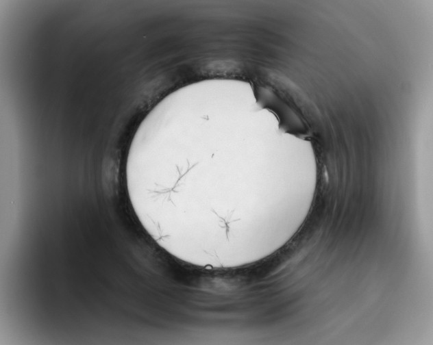 X0000095910739200802081052