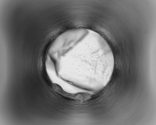 X0000095910740200802081052