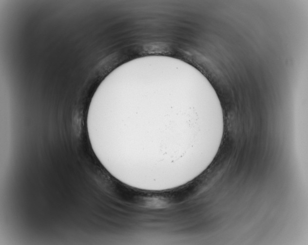 X0000095910741200802081052