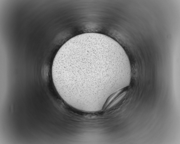 X0000095910742200802081053