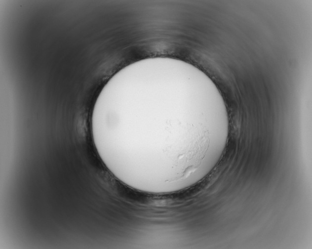 X0000095910746200802081053