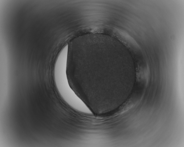 X0000095910748200802081053