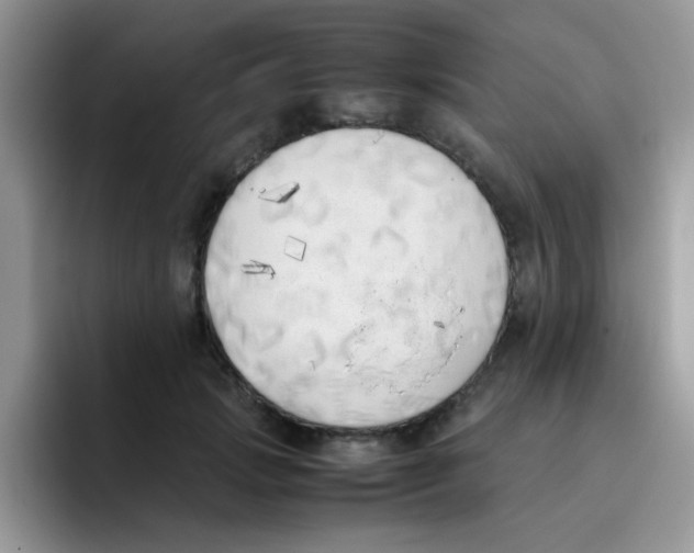 X0000095910749200802081053
