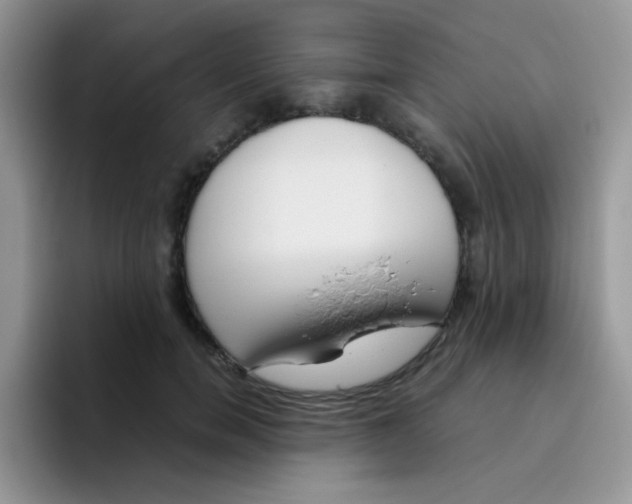 X0000095910750200802081053