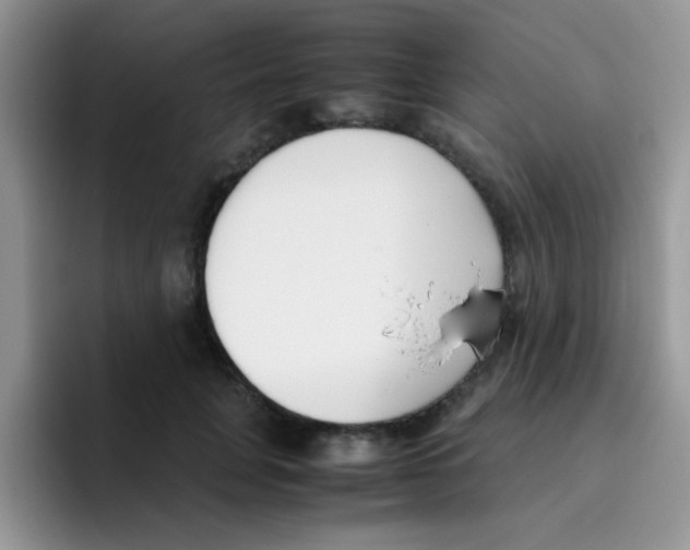 X0000095910751200802081053