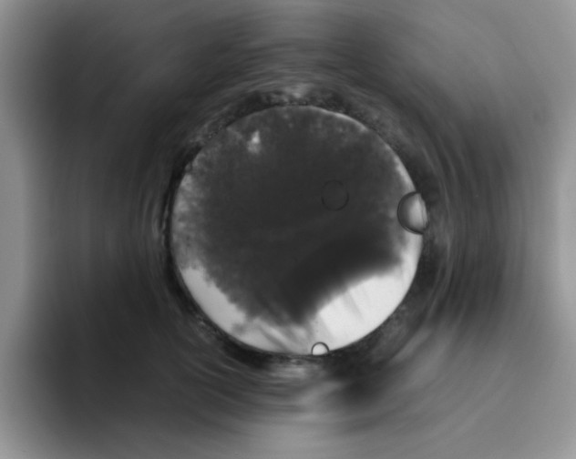 X0000095910754200802081053