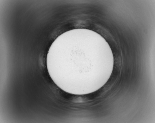 X0000095910755200802081053