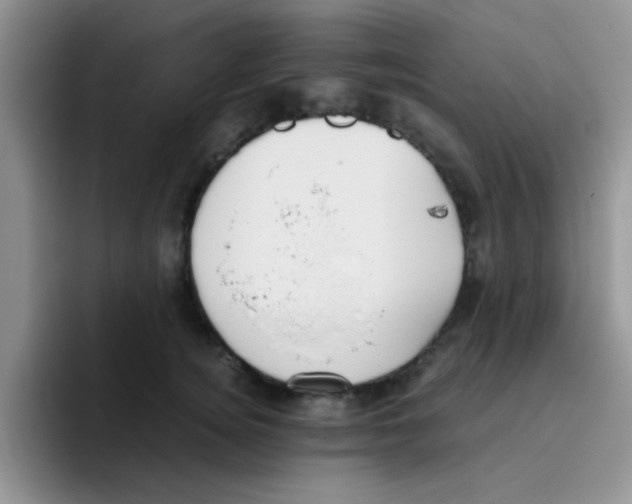 X0000095910756200802081053