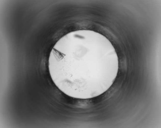 X0000095910757200802081053
