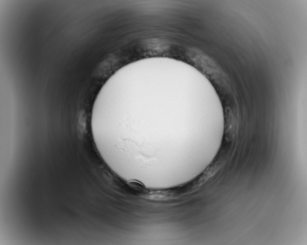 X0000095910758200802081053