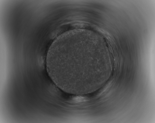 X0000095910759200802081053