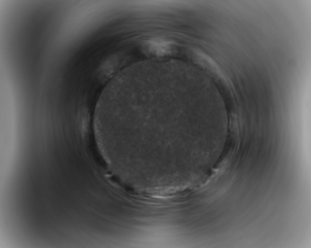 X0000095910760200802081053