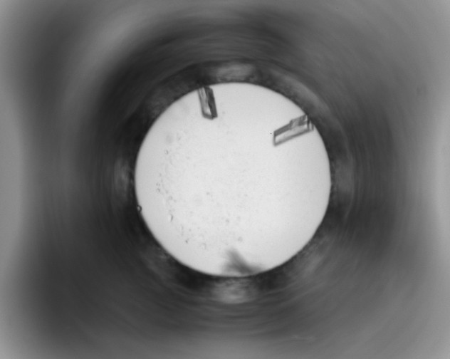 X0000095910761200802081053