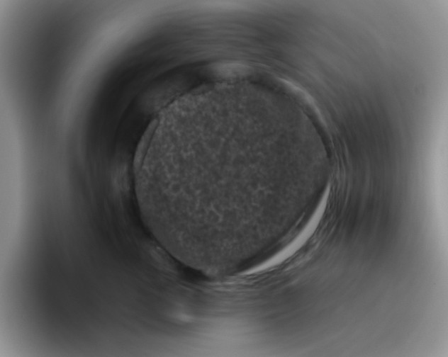 X0000095910762200802081053