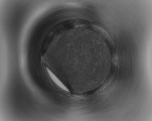 X0000095910763200802081053