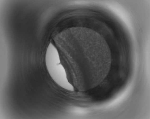 X0000095910766200802081053