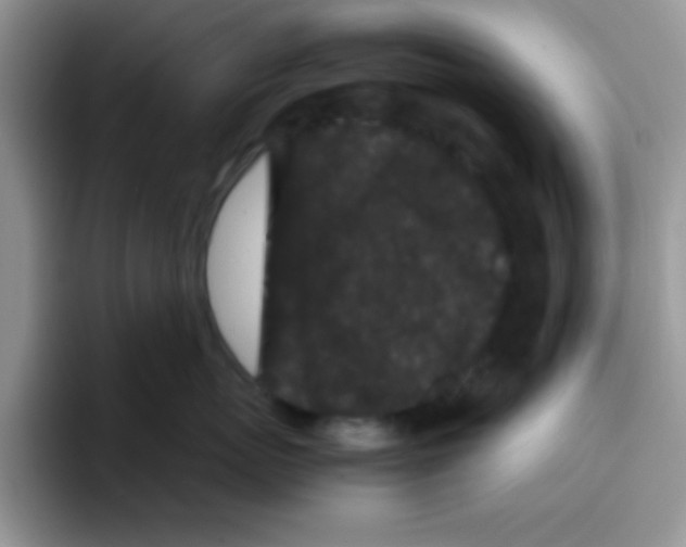 X0000095910767200802081053