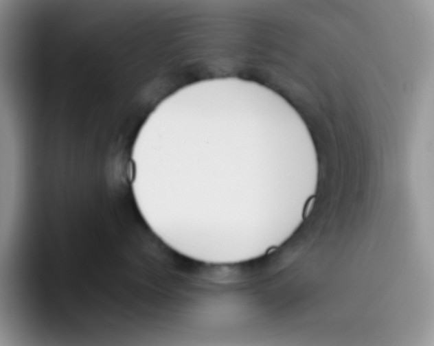 X0000095910768200802081053