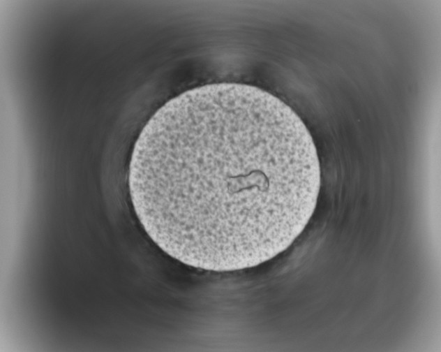 X0000095910769200802081052