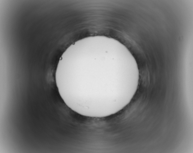 X0000095910770200802081052