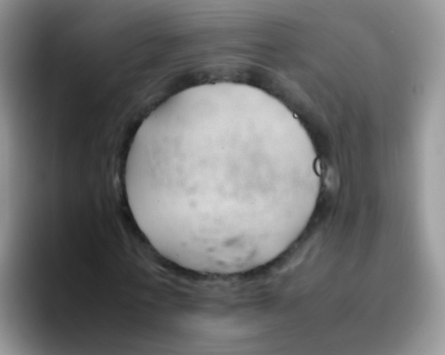 X0000095910771200802081052