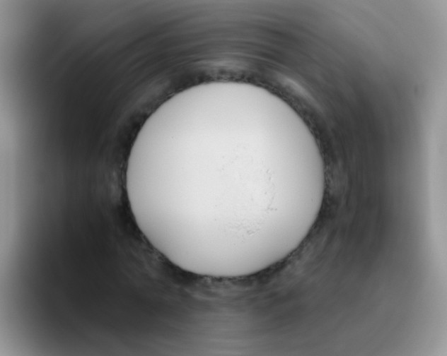 X0000095910774200802081052