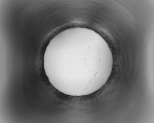 X0000095910776200802081052