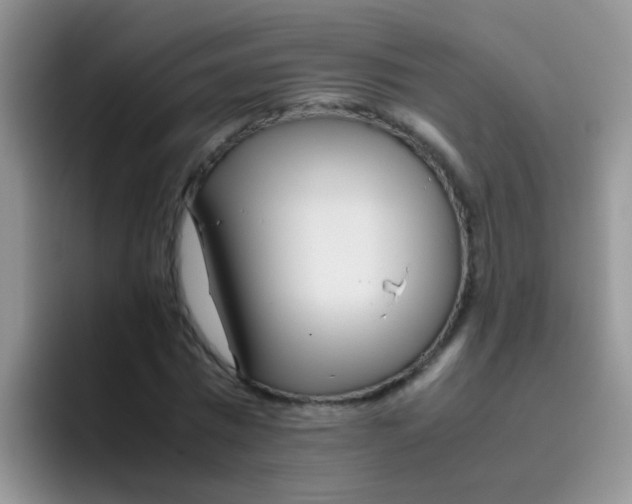 X0000095910777200802081052